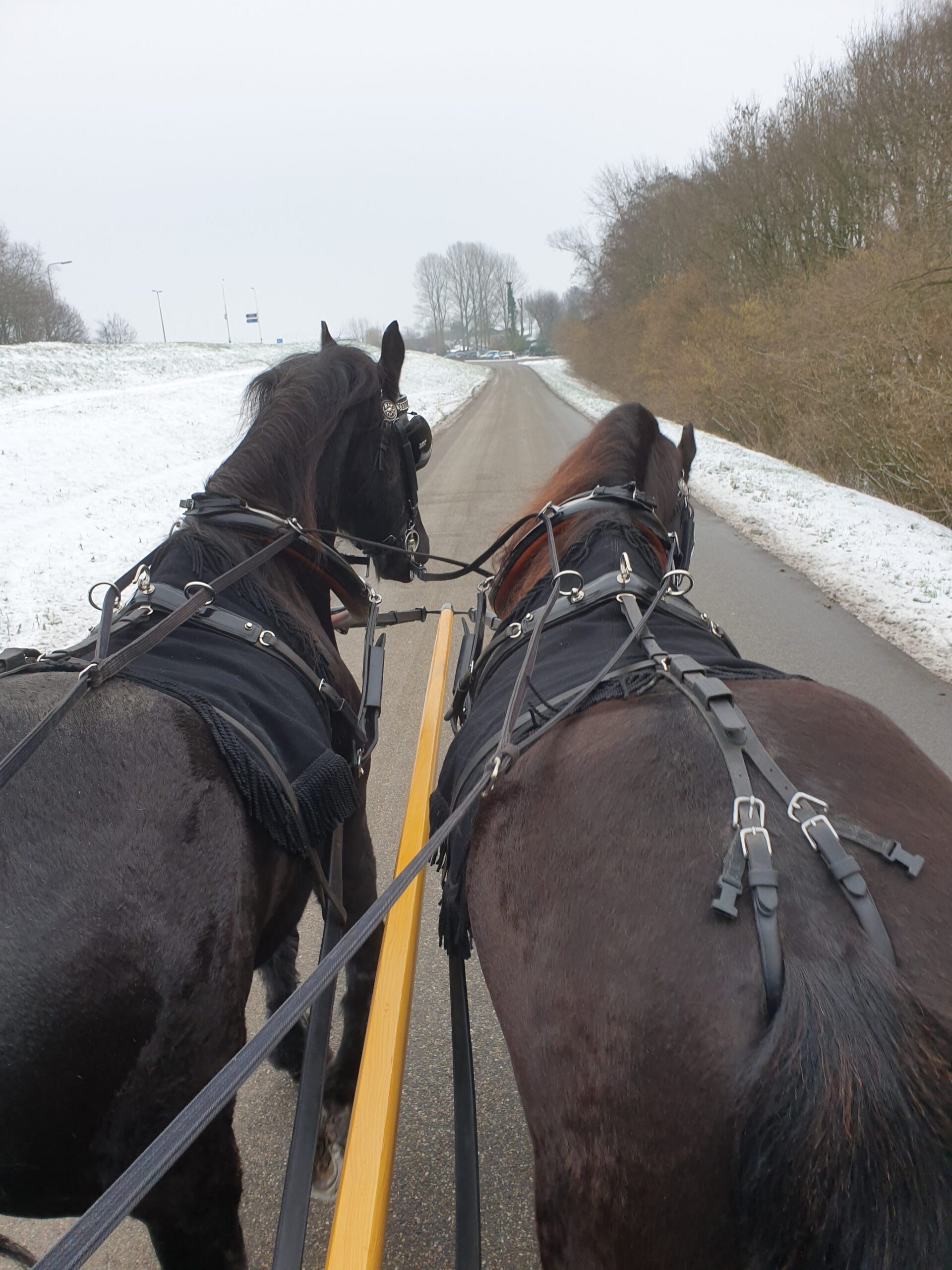 Met paard en wagen naar de uitvaart
