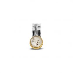 Zilveren hars hanger met 14 krt geelgouden rand 229 SY