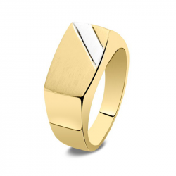 Bicolor gouden asring 3000B