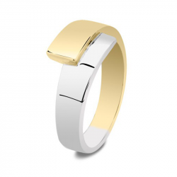 Bicolor gouden asring 3020B