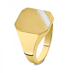 Bicolor gouden zegelring met as 3040B