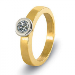 Bicolorgouden (14 krt) solitair ring met as in diamant, herinneringsdiamant 6021B