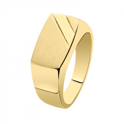 Gouden asring 3000G
