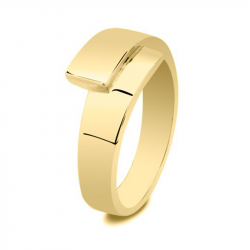 Gouden asring 3020G