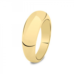 Gouden asring 3030G