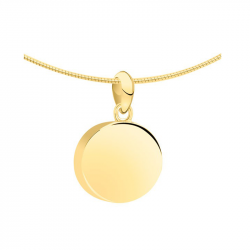 Gouden disk ashanger 1200G