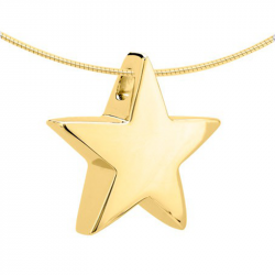 Gouden ster ashanger 1510G