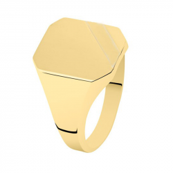 Gouden zegelring met as 3040G