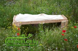 Eco baar Biesvelden