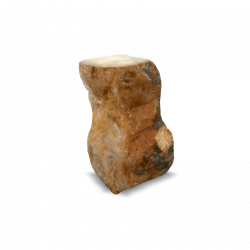 Fossiel urn Vereeuwigd hout