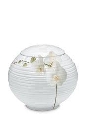 Poselein urn UPOLSGF118